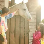 Pod Debami Stadnina Koni Jezioro I Morze