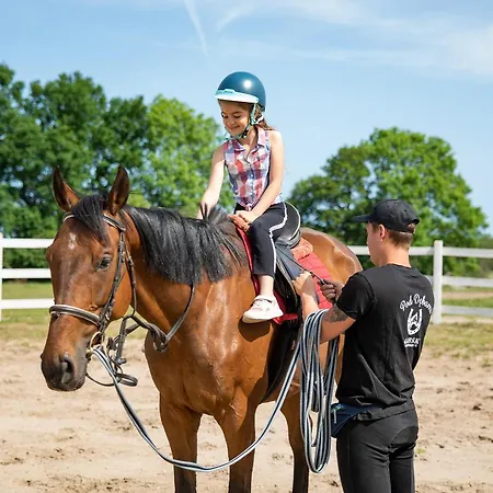 Pod Debami Appartamento Sarbsk