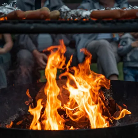 Pod Debami Stadnina Koni Jezioro I Morze Sarbsk
