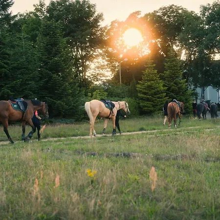 Pod Debami דירה Sarbsk