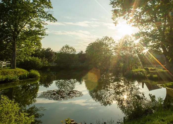 Pod Debami Stadnina Koni Jezioro I Morze *