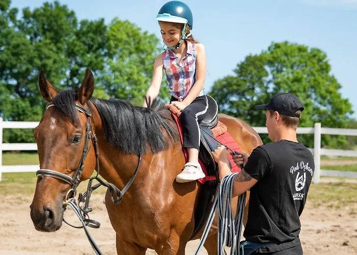 Pod Debami Stadnina Koni Jezioro I Morze アパート Sarbsk