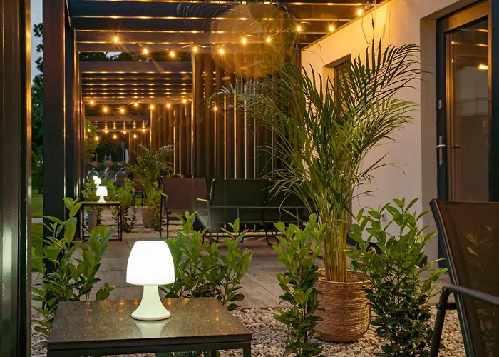 Pod Debami Stadnina Koni Jezioro I Morze Sarbsk