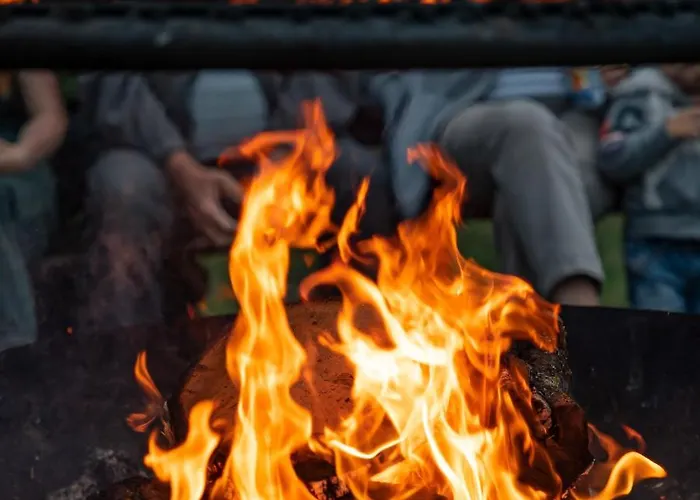 Pod Debami Stadnina Koni Jezioro I Morze Sarbsk