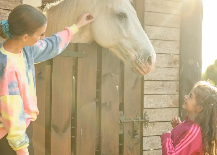 Pod Debami Stadnina Koni Jezioro I Morze