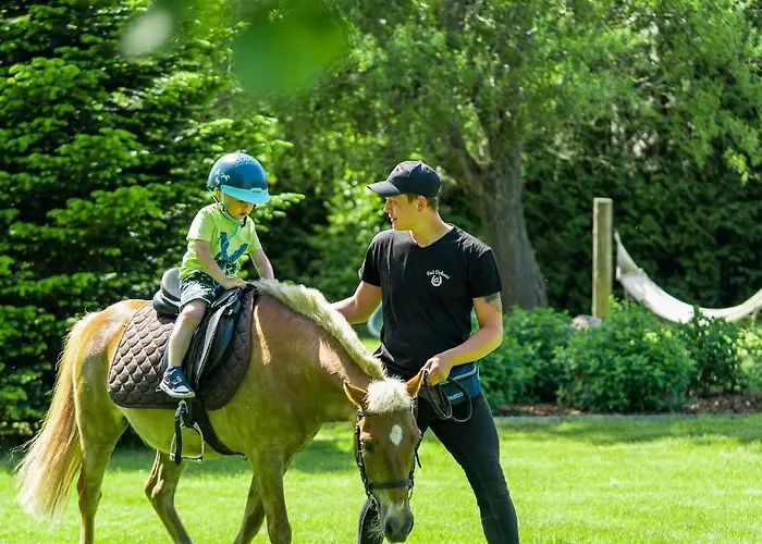 Pod Debami Stadnina Koni Jezioro I Morze Sarbsk