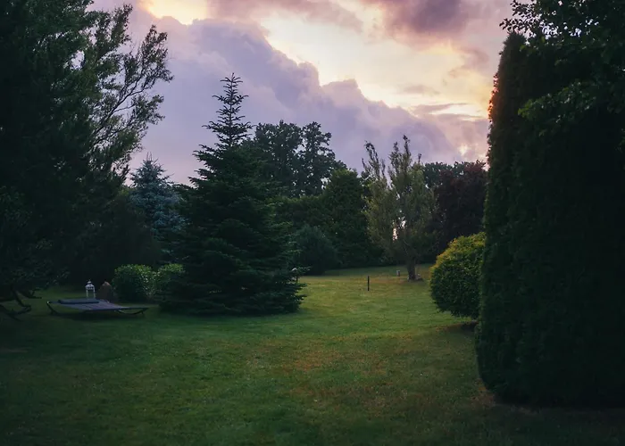 Pod Debami Stadnina Koni Jezioro I Morze