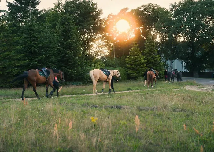Pod Debami Stadnina Koni Jezioro I Morze Apartamento Sarbsk