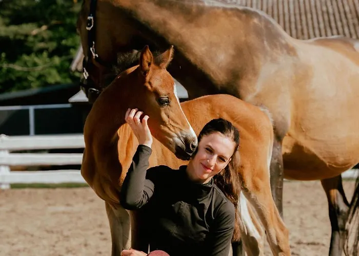 アパート Pod Debami Stadnina Koni Jezioro I Morze Sarbsk